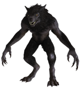 Werewolf